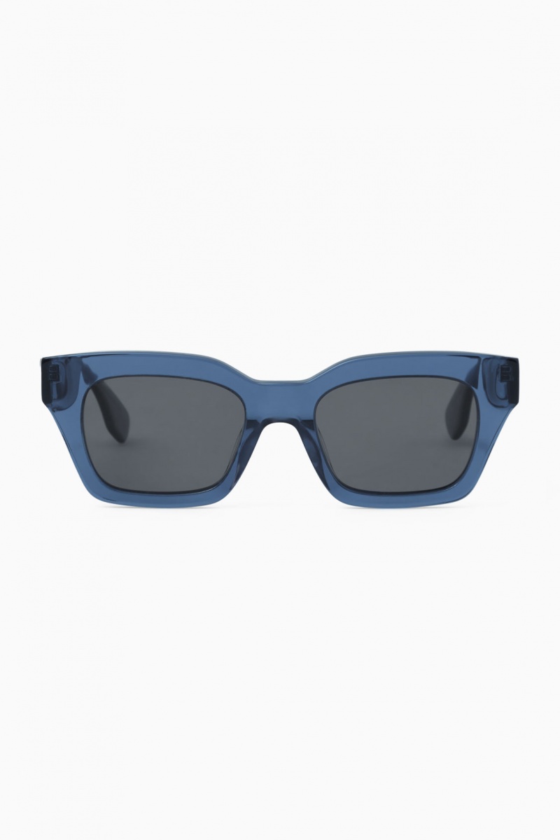 Gafas de Sol COS D-Frame Hombre Azules España Rebajas 753MYLKFP