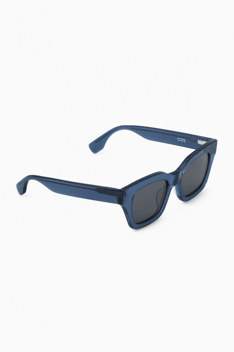 Gafas de Sol COS D-Frame Hombre Azules España Rebajas 753MYLKFP