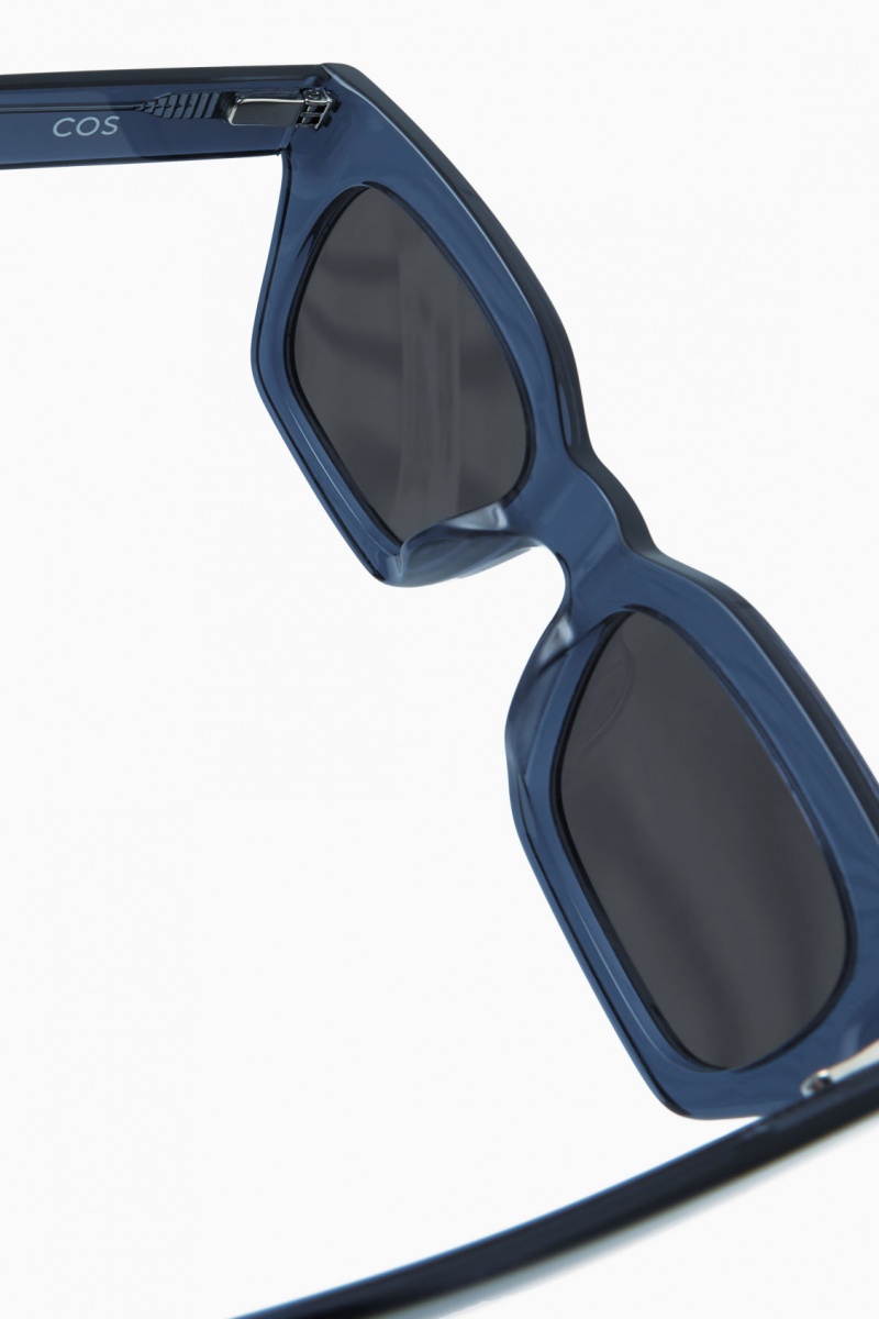 Gafas de Sol COS D-Frame Hombre Azules España Rebajas 753MYLKFP